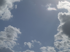 見上げてごらんよ