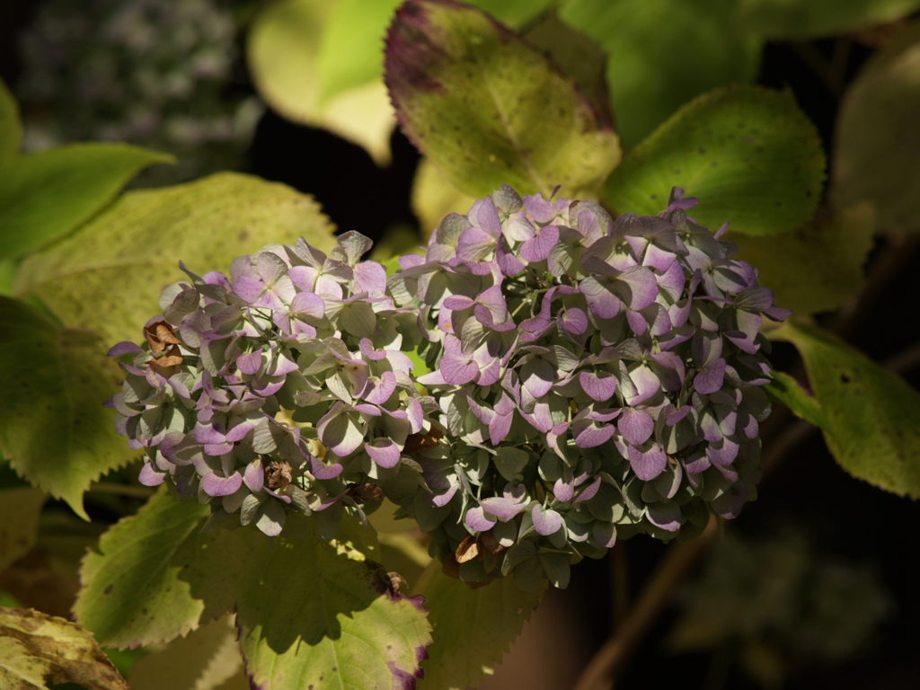 5M機で動物公園⑤