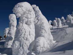 頂の雪⑨