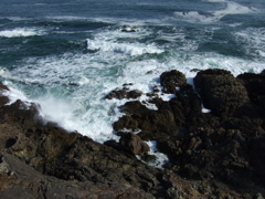 古いコンデジのリアリティ②