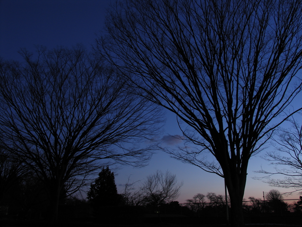 sample ccdに蛍石⑤