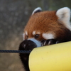 動物園散歩⑥