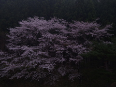 岩手県　遠野④