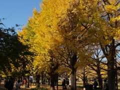 昭和記念公園③