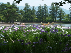 光景も写真で見るもの⑥