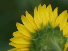 8月を振り返ると④