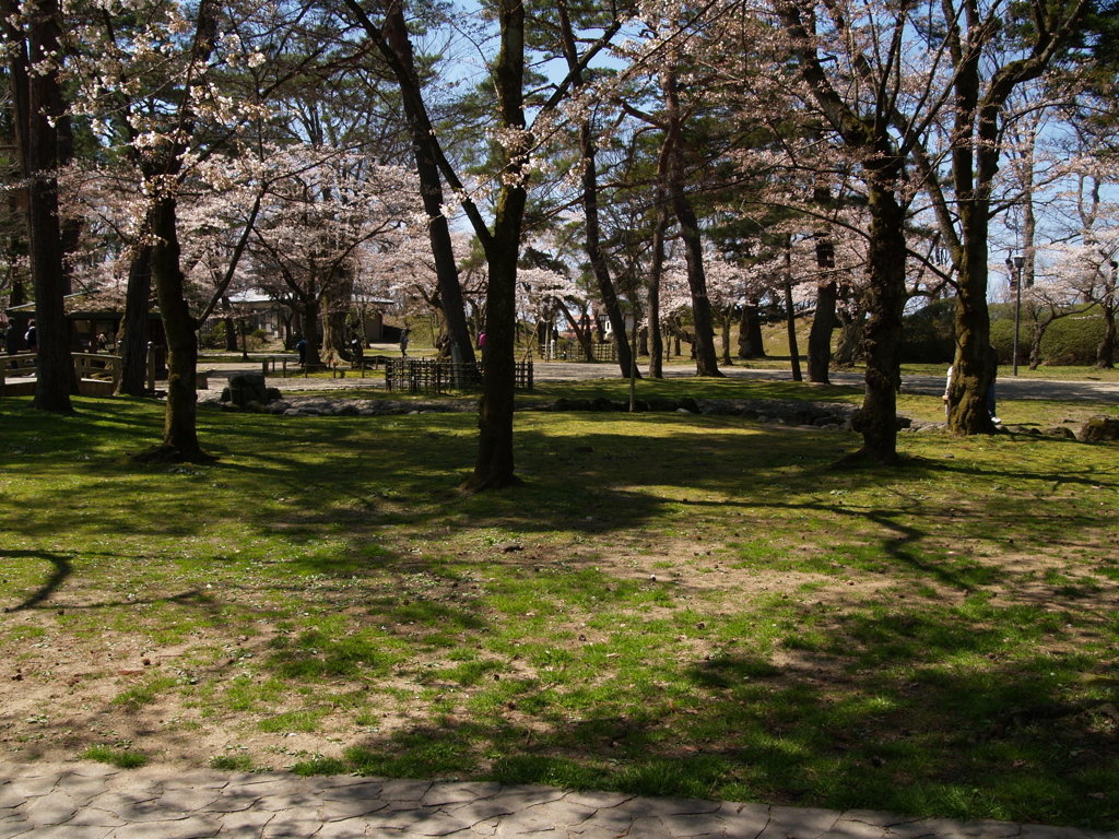 秋田 千秋公園③