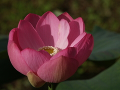 低画素の立体感②