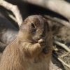 動物園散歩⑤