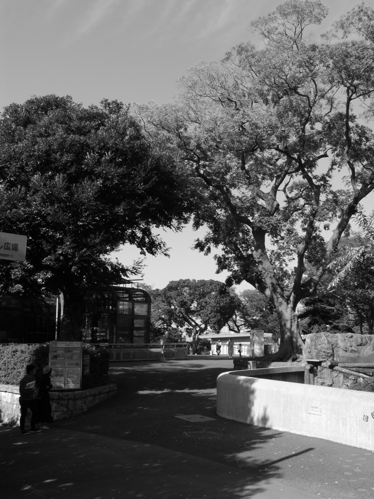 表現できない私的モノクローム⑲