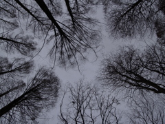 冬の空②