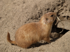 動物園に行こう③