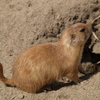 動物園に行こう③