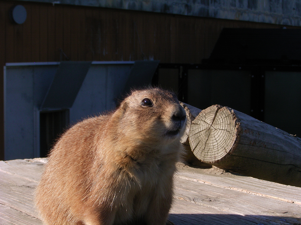 動物園散歩④