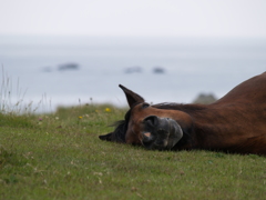 実は寝てないし。。