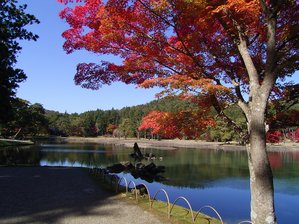 紅葉狩り_毛越寺①