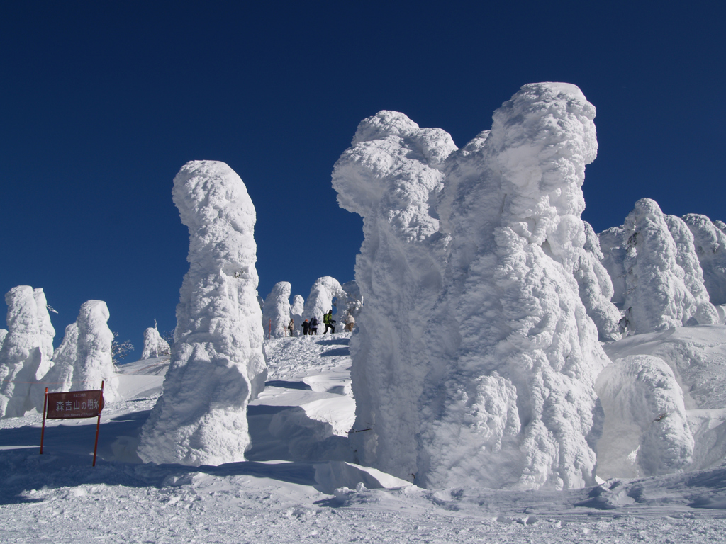 頂の雪①