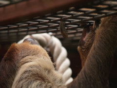 見たものをリアルに