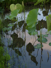 薄汚れた世界⑤