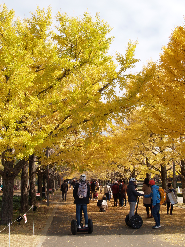 昭和記念公園⑥