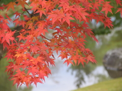 CCDの備忘録Pro1②