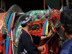 写真のリアリティ