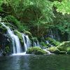 鳥海山麓_元滝伏流水①