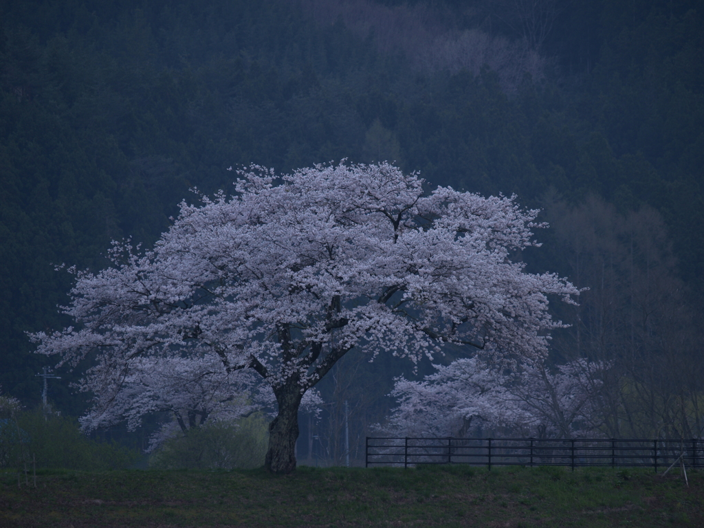 遠野物語の地