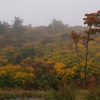 雨の山頂と