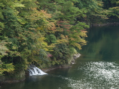 できるだけ自然を、