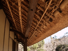 立春の日差し⑤