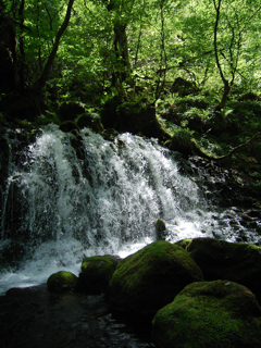 元滝伏流水②