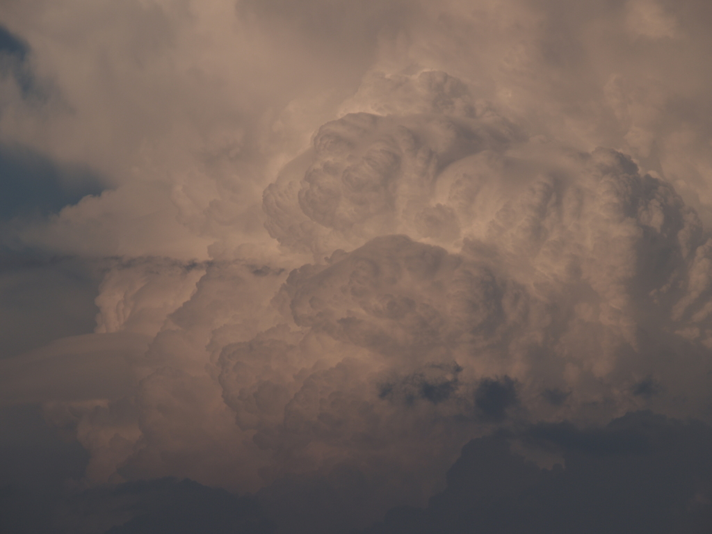 8月を振り返ると⑦