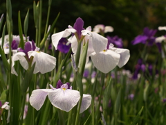 7月を振り返ると①