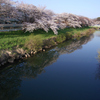 太平川_西日