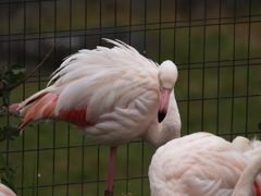動物公園⑦