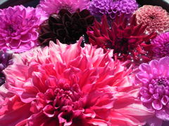 CCDの備忘録GX⑫