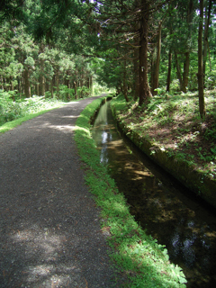 元滝伏流水へ向かう道