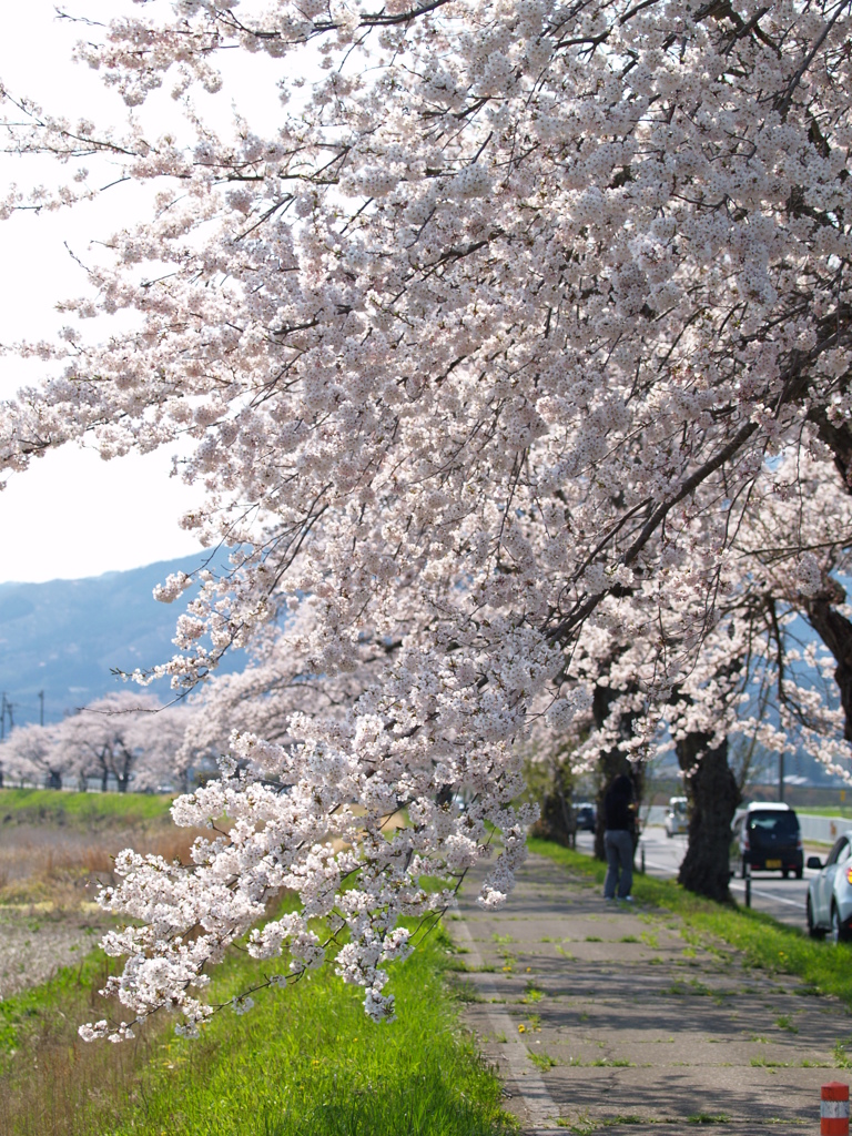 岩手県　遠野⑤