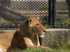 動物園に行こう⑩