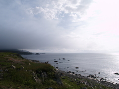 インスタ映え①