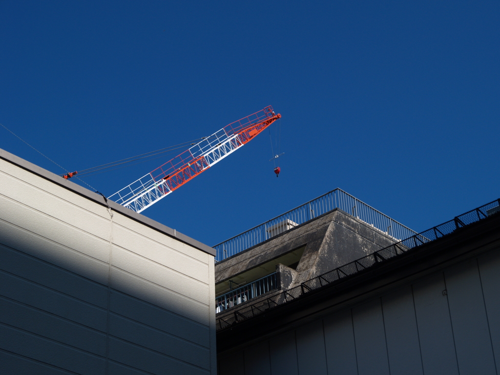 陽を感じるから①