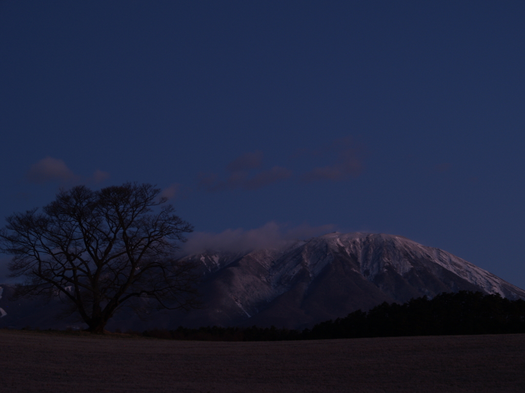 小岩井からの岩手山