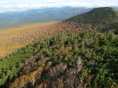 今日の八甲田③