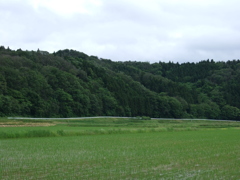 画素数とシャープネス6M①