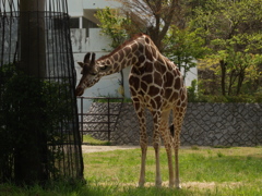 動物園に行こう⑳