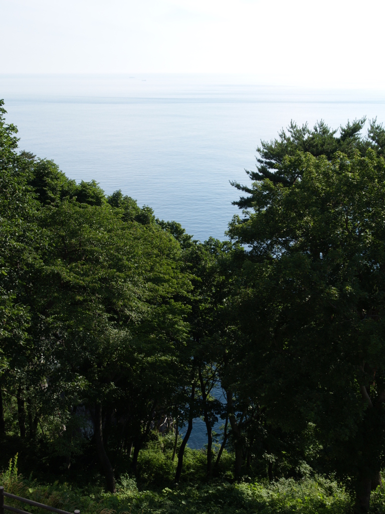 行楽のリアリティ③