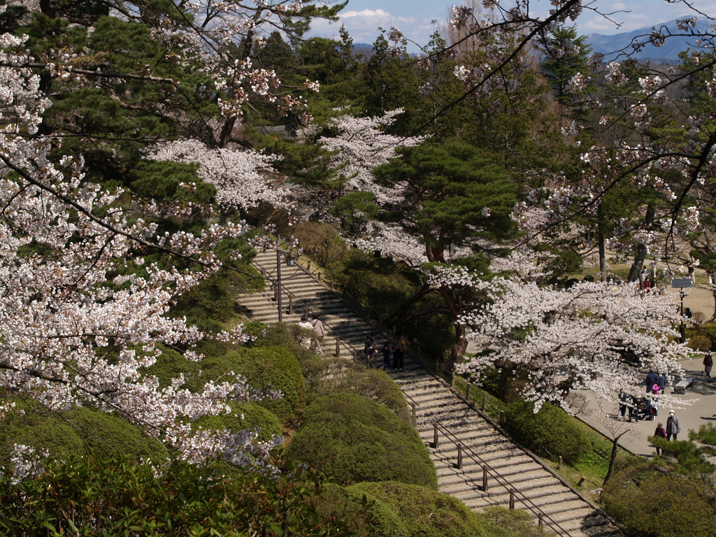 秋田 千秋公園①