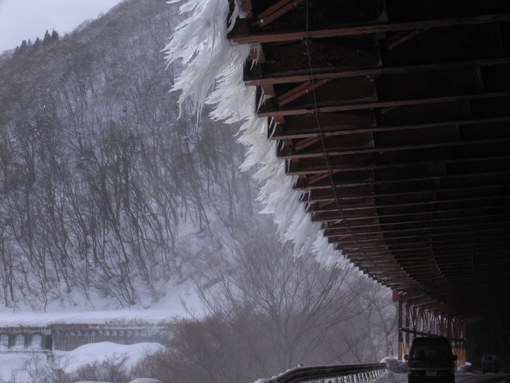 sample ccdに蛍石④