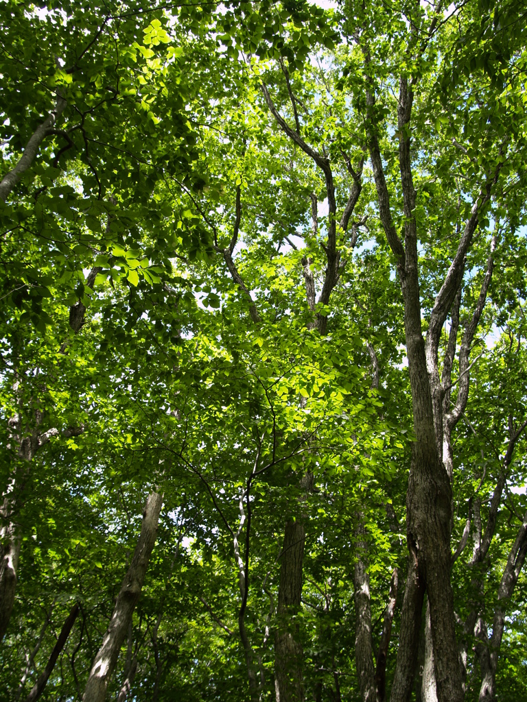 光害写真が増加中